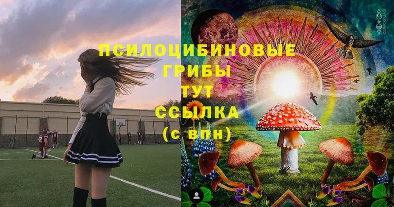 Галлюциногенные грибы MAGIC MUSHROOMS  наркошоп  mega онион  Тамбов 